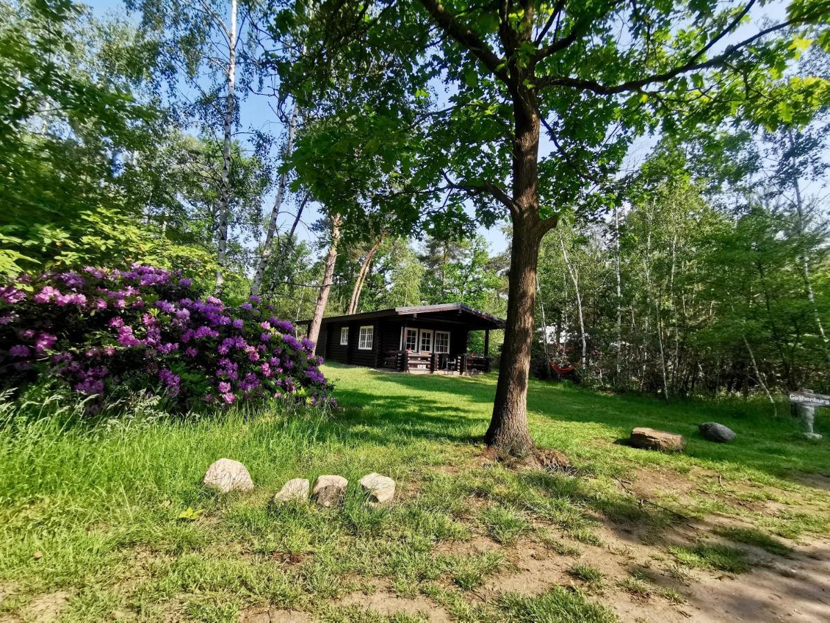 Scandinavian Lodges هولتين المظهر الخارجي الصورة