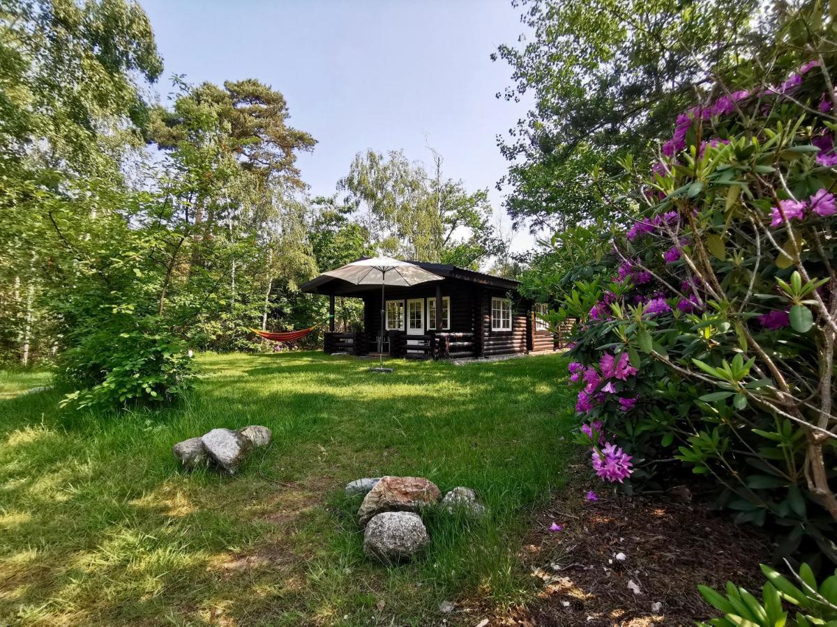 Scandinavian Lodges هولتين المظهر الخارجي الصورة