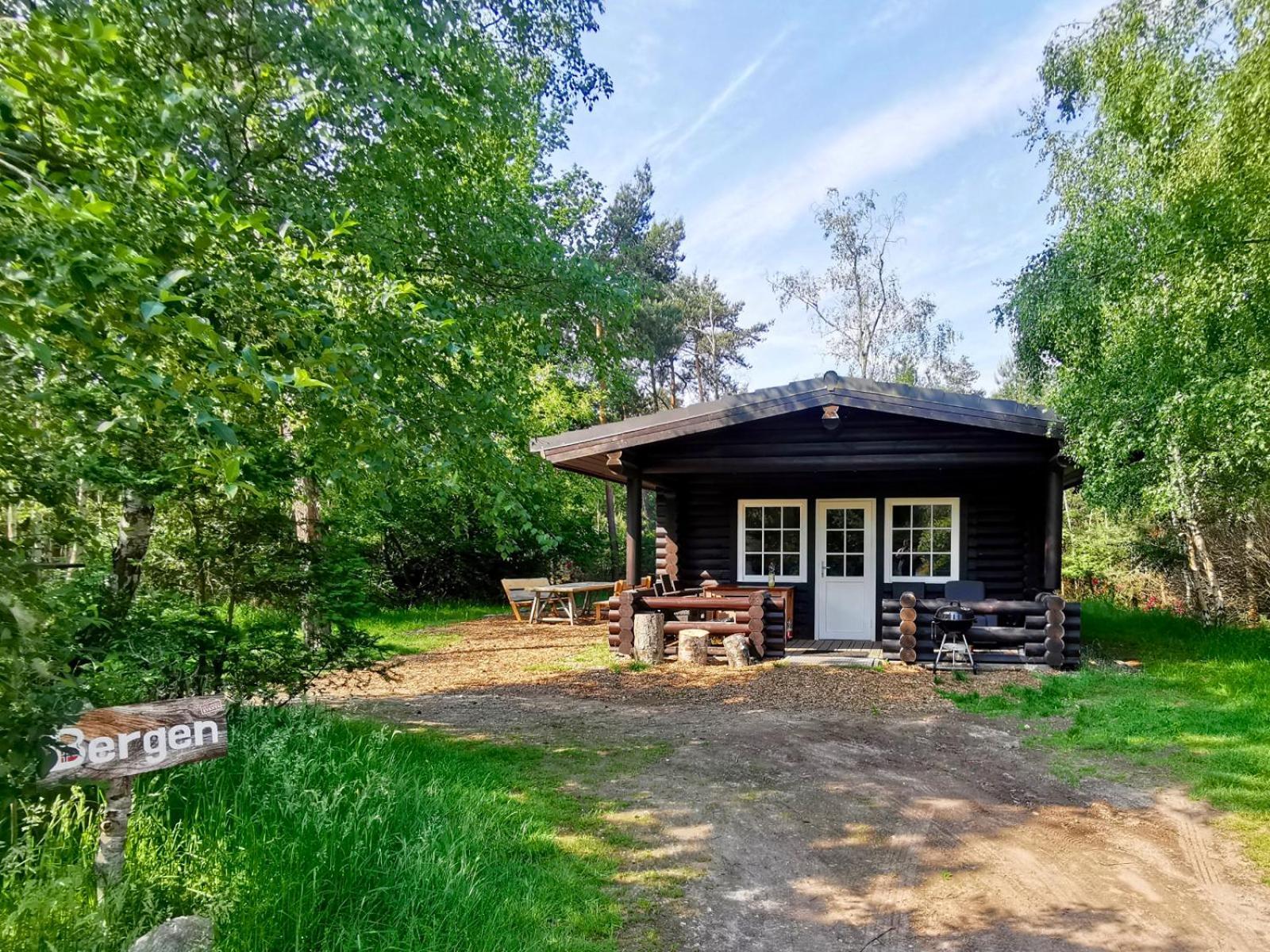 Scandinavian Lodges هولتين المظهر الخارجي الصورة